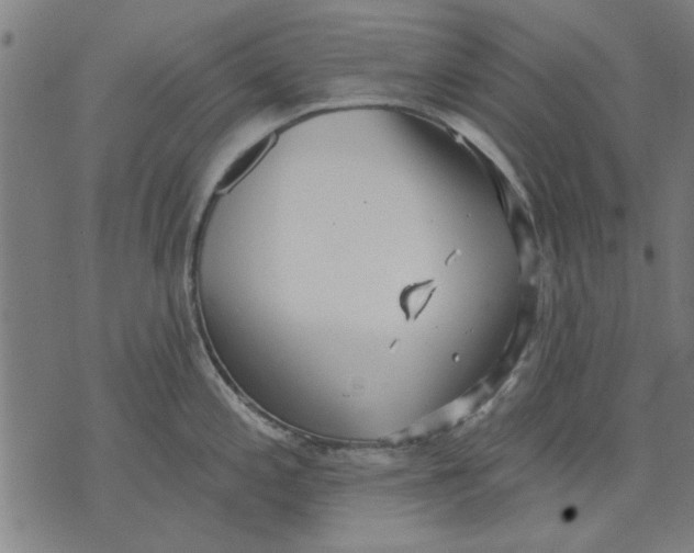 X0000071771197200607211524