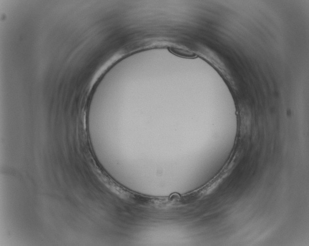 X0000071771198200607211524