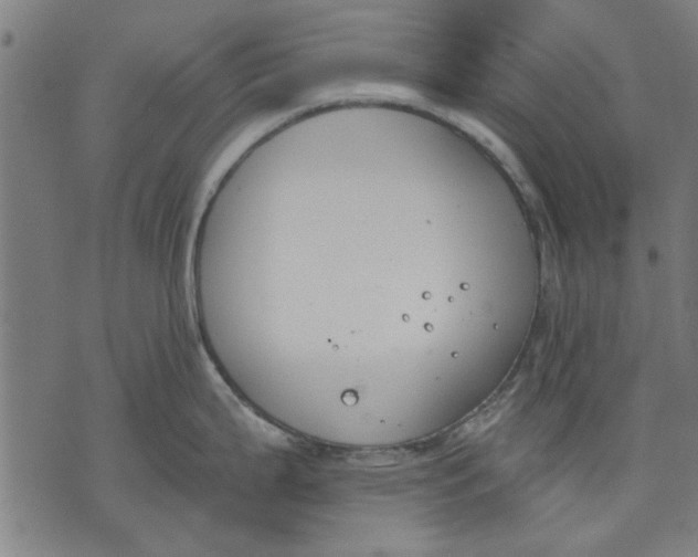 X0000071771199200607211524