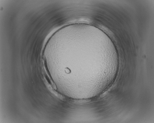 X0000071771200200607211524