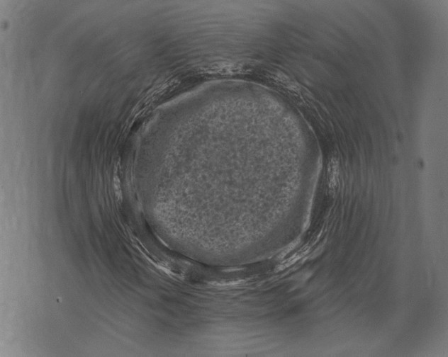 X0000071771202200607211523