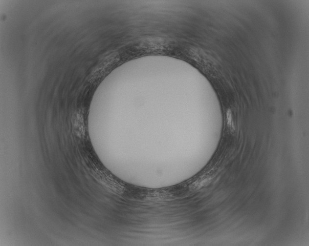 X0000071771203200607211523