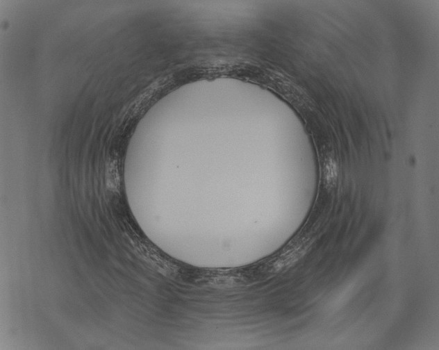 X0000071771204200607211523