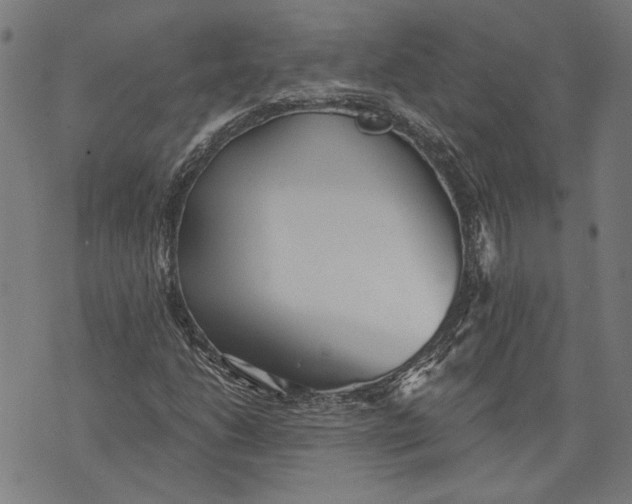 X0000071771206200607211523