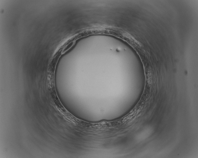 X0000071771208200607211523