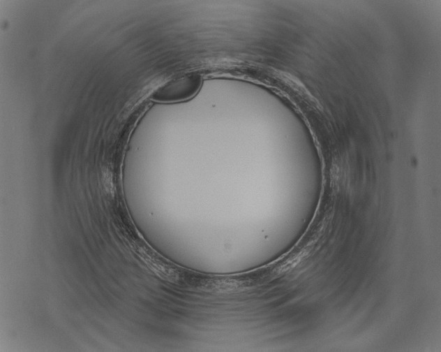 X0000071771209200607211523