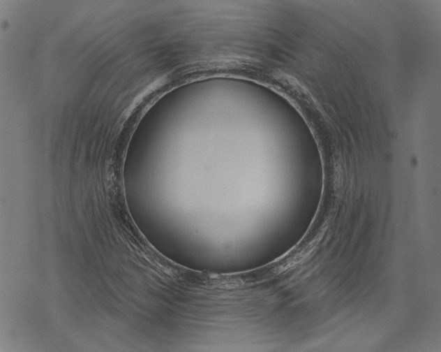 X0000071771210200607211523