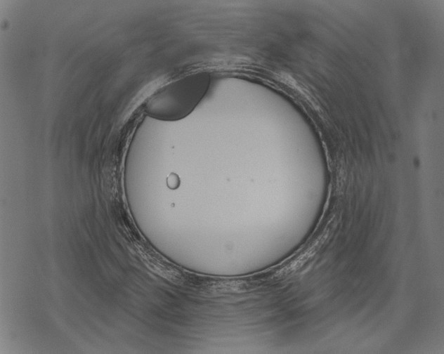 X0000071771211200607211523