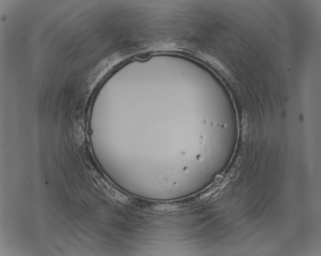 X0000071771212200607211523