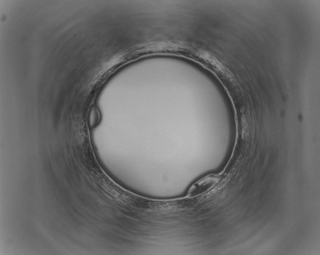 X0000071771213200607211523