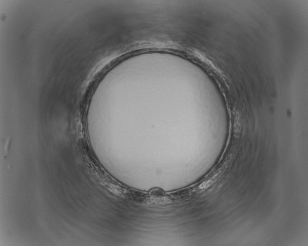 X0000071771215200607211523