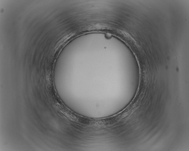 X0000071771217200607211523