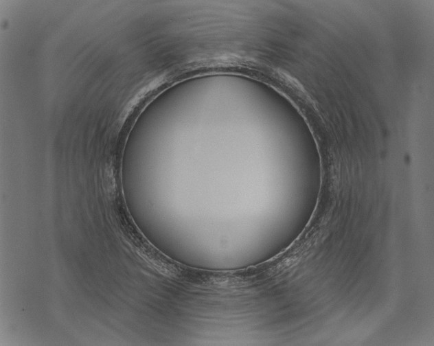 X0000071771218200607211523