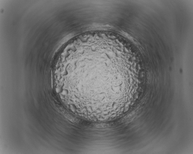 X0000071771219200607211523