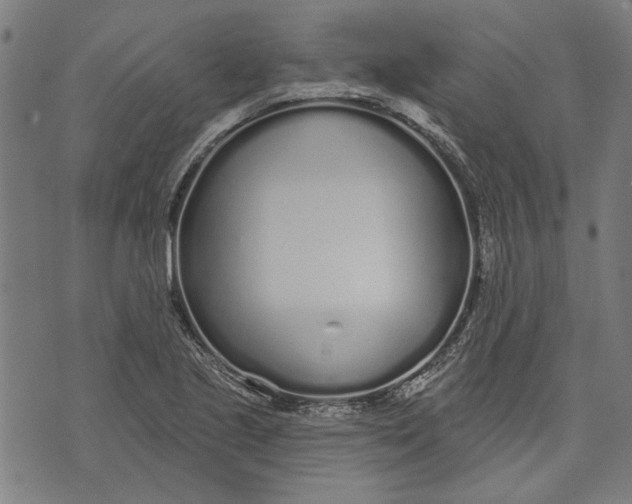 X0000071771221200607211523