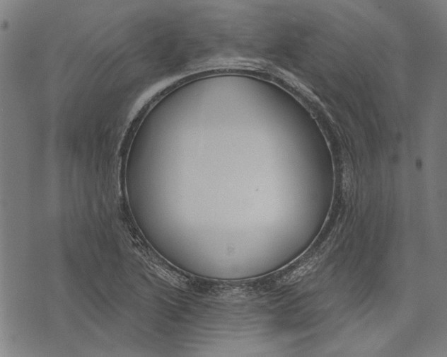 X0000071771222200607211523