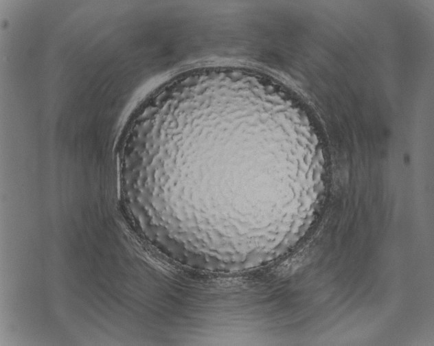 X0000071771223200607211523