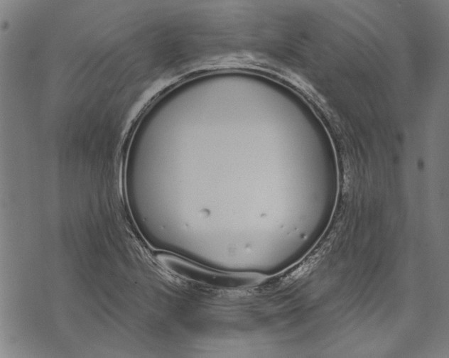 X0000071771224200607211523