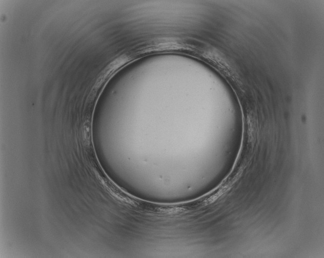 X0000071771225200607211523