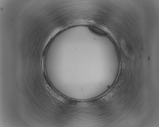 X0000071771227200607211524