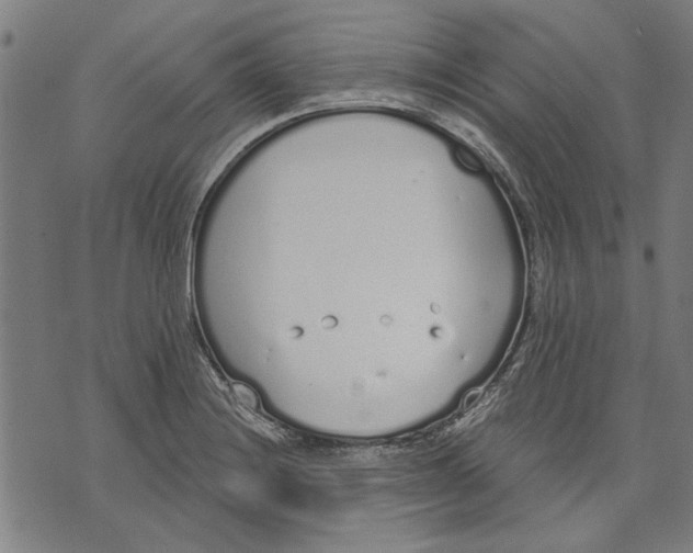 X0000071771228200607211524