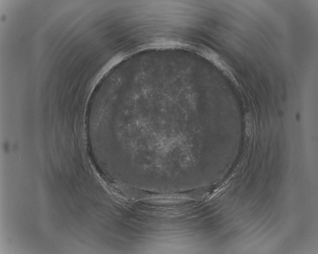 X0000071771229200607211524