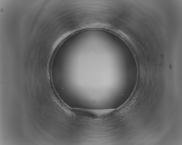 X0000071771230200607211524