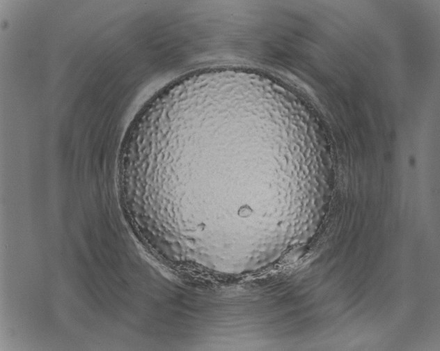 X0000071771231200607211524