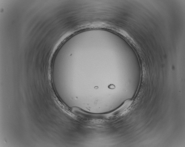 X0000071771232200607211524