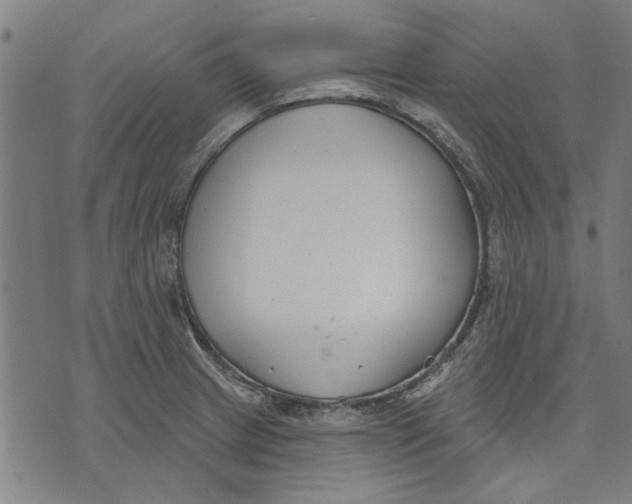 X0000071771233200607211524