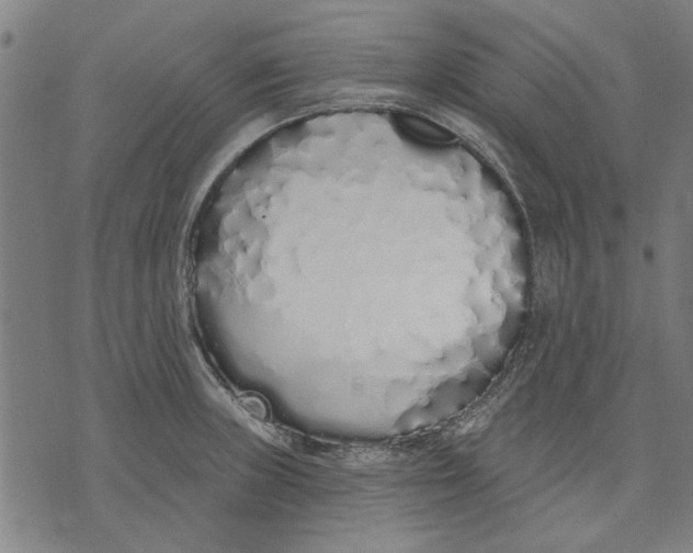 X0000071771235200607211524