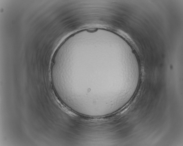 X0000071771236200607211524