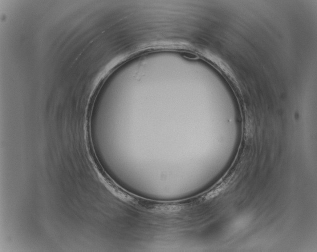 X0000071771237200607211524