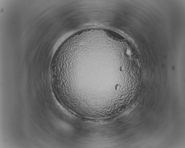 X0000071771239200607211524