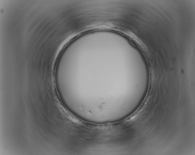 X0000071771240200607211524