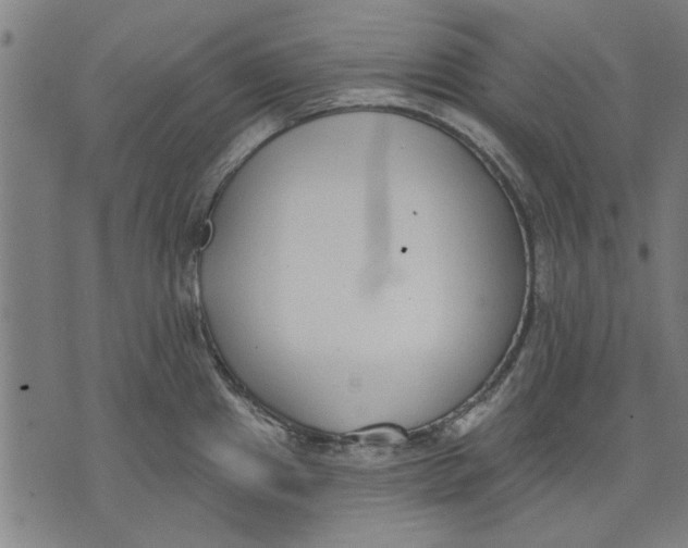 X0000071771241200607211524