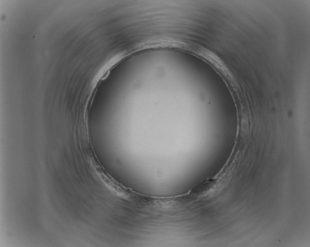 X0000071771242200607211524