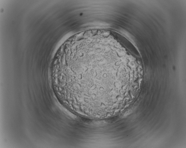 X0000071771243200607211524