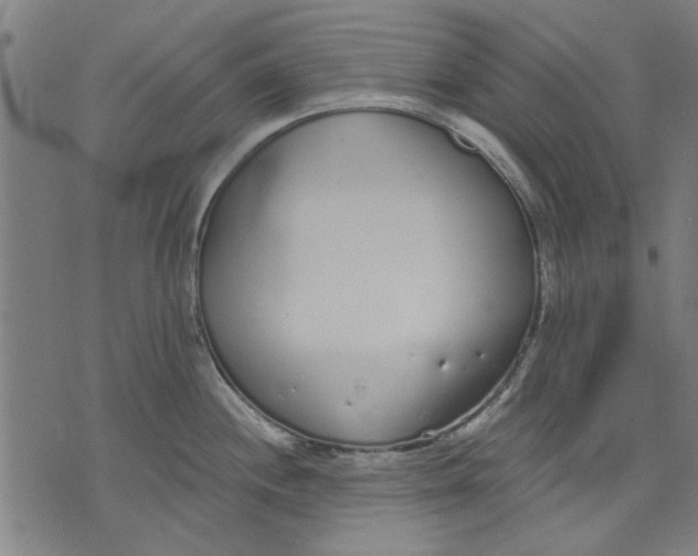 X0000071771244200607211524