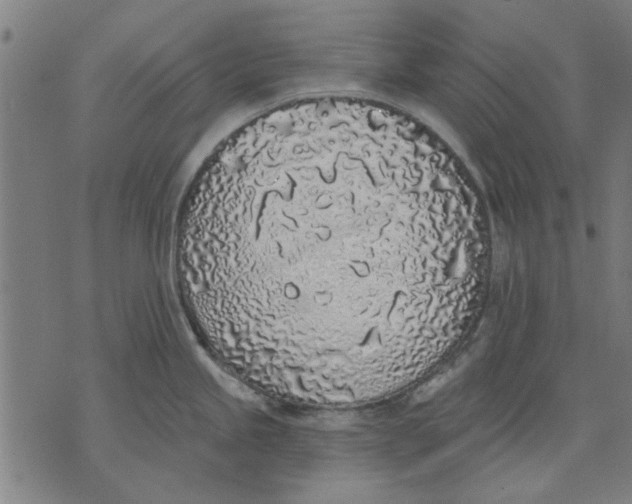 X0000071771245200607211524