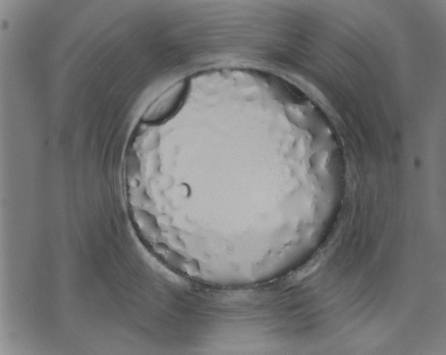 X0000071771247200607211524