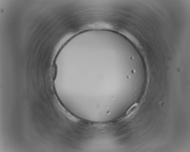 X0000071771248200607211524