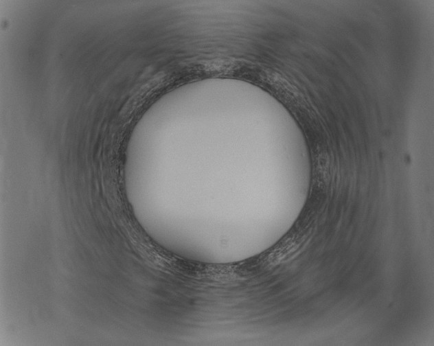 X0000071771249200607211523