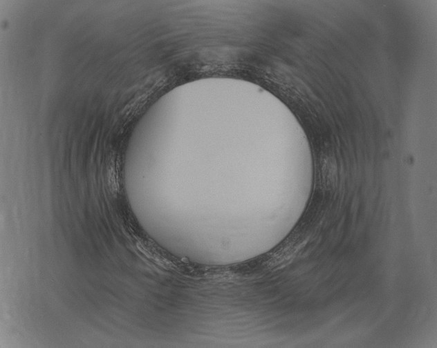 X0000071771250200607211523