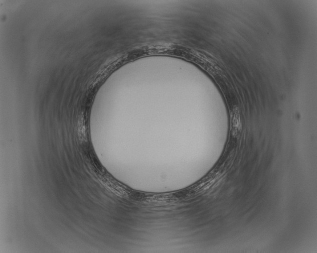 X0000071771252200607211523