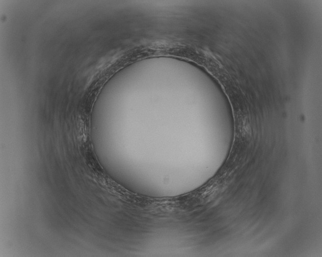 X0000071771253200607211523