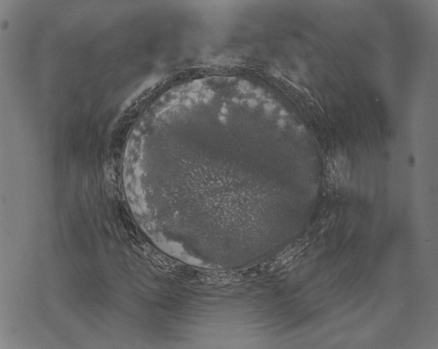 X0000071771254200607211523