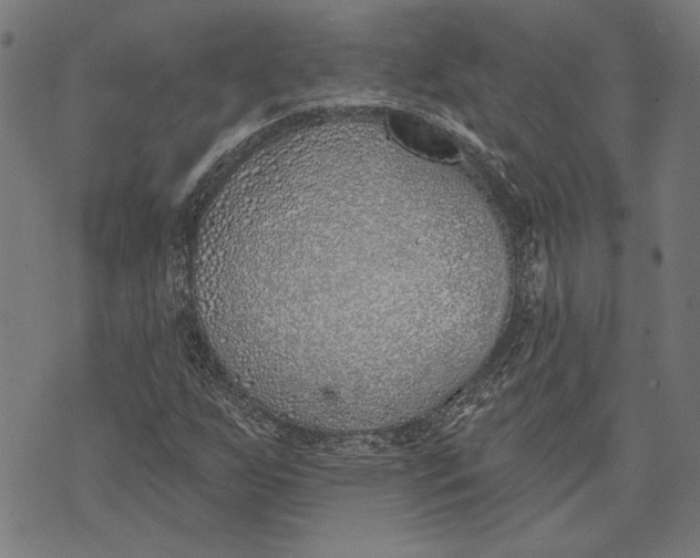 X0000071771255200607211523