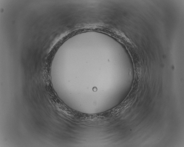 X0000071771256200607211523