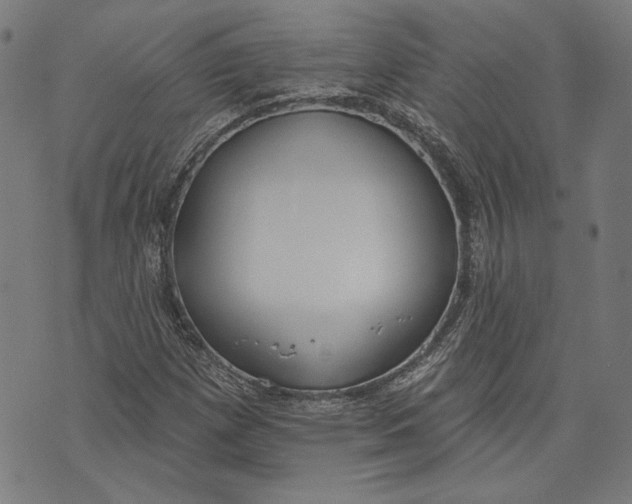 X0000071771257200607211523